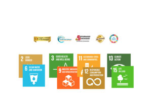 6th Conference on Sustainability Science, Discussion on Keys to Achieving Global SDGs